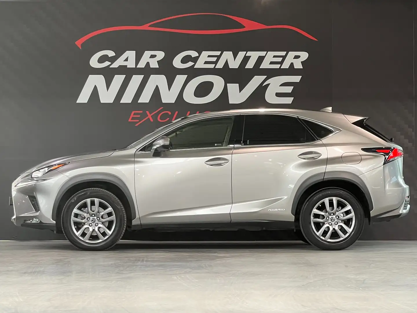Lexus NX 300h NX 300h E-FOUR Business Line AWD Gris - 2