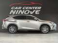 Lexus NX 300h NX 300h E-FOUR Business Line AWD Gris - thumbnail 3