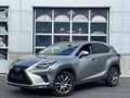 Lexus NX 300h NX 300h E-FOUR Business Line AWD Gris - thumbnail 1
