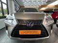 Lexus NX 300h NX 300h E-FOUR Business Line AWD Gris - thumbnail 38