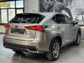 Lexus NX 300h NX 300h E-FOUR Business Line AWD Gris - thumbnail 13