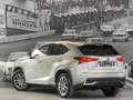 Lexus NX 300h NX 300h E-FOUR Business Line AWD Gris - thumbnail 9