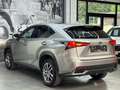 Lexus NX 300h NX 300h E-FOUR Business Line AWD Gris - thumbnail 11