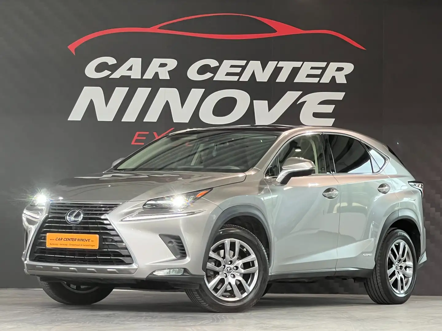 Lexus NX 300h NX 300h E-FOUR Business Line AWD Gris - 1