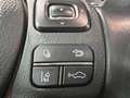Lexus NX 300h NX 300h E-FOUR Business Line AWD Gris - thumbnail 37
