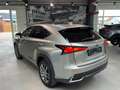 Lexus NX 300h NX 300h E-FOUR Business Line AWD Gris - thumbnail 16