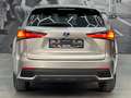 Lexus NX 300h NX 300h E-FOUR Business Line AWD Gris - thumbnail 12