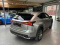 Lexus NX 300h NX 300h E-FOUR Business Line AWD Gris - thumbnail 15