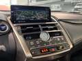 Lexus NX 300h NX 300h E-FOUR Business Line AWD Gris - thumbnail 24