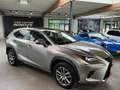 Lexus NX 300h NX 300h E-FOUR Business Line AWD Gris - thumbnail 14