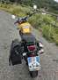 Triumph Scrambler Scrambler 900 Galben - thumbnail 3