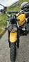 Triumph Scrambler Scrambler 900 Galben - thumbnail 7