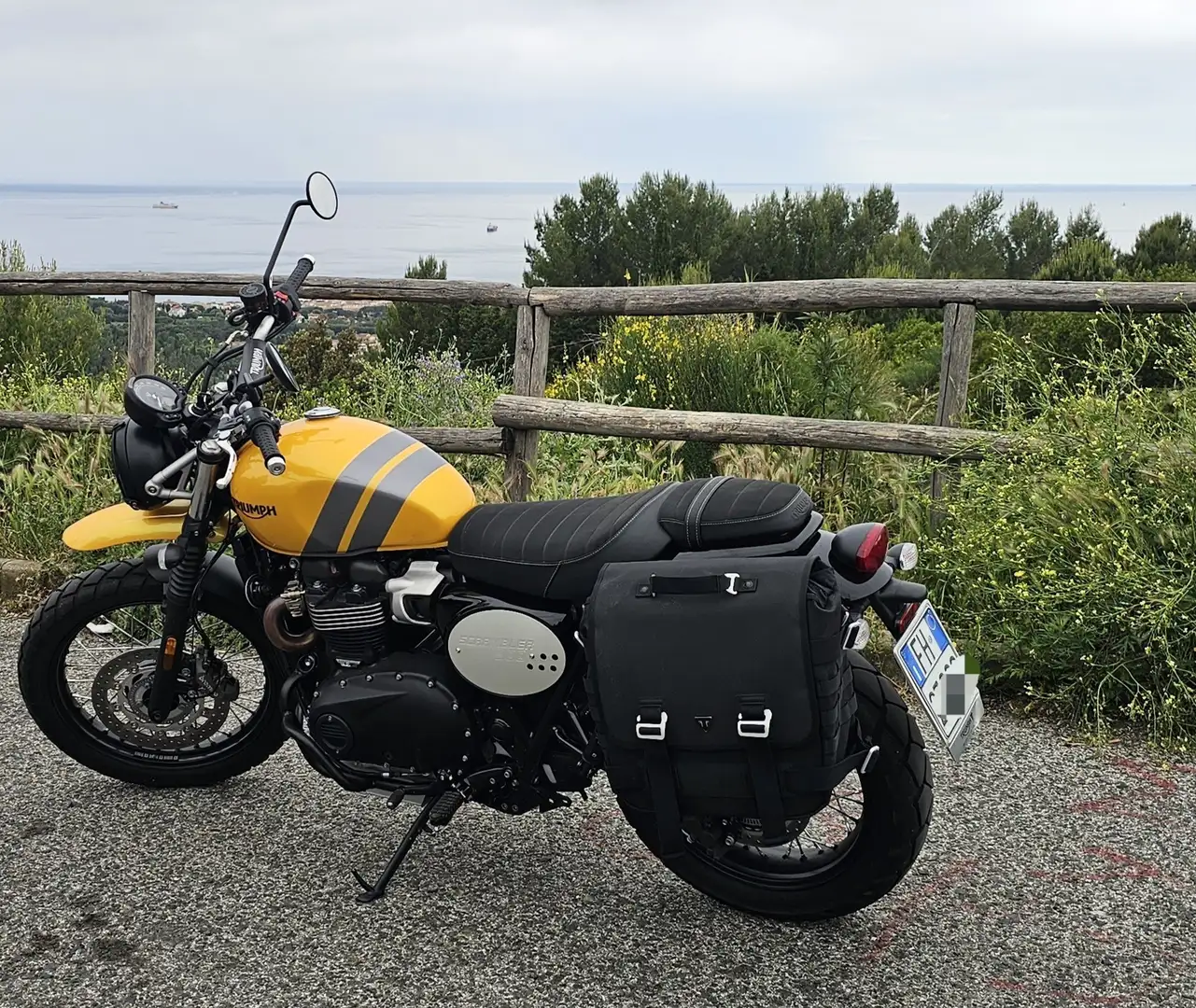 Triumph Scrambler Scrambler 900 Galben - 1