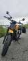 Triumph Scrambler Scrambler 900 Galben - thumbnail 5