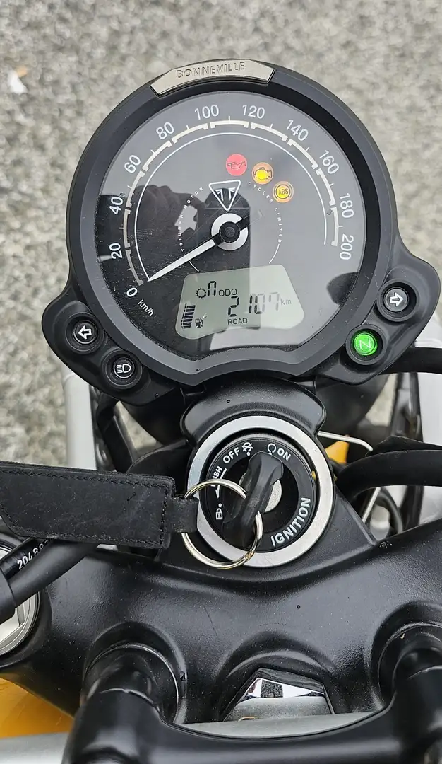 Triumph Scrambler Scrambler 900 Galben - 2