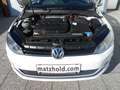 Volkswagen Golf Golf Highline 1,6 TDI DPF NAVI | ALU | TOPPREIS! Weiß - thumbnail 17