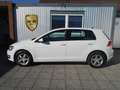 Volkswagen Golf Golf Highline 1,6 TDI DPF NAVI | ALU | TOPPREIS! Weiß - thumbnail 21