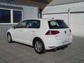 Volkswagen Golf Golf Highline 1,6 TDI DPF NAVI | ALU | TOPPREIS! Weiß - thumbnail 23