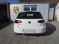 Volkswagen Golf Golf Highline 1,6 TDI DPF NAVI | ALU | TOPPREIS! Weiß - thumbnail 19