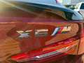 BMW X6 xDrive30d 258CV Msport Roşu - thumbnail 6