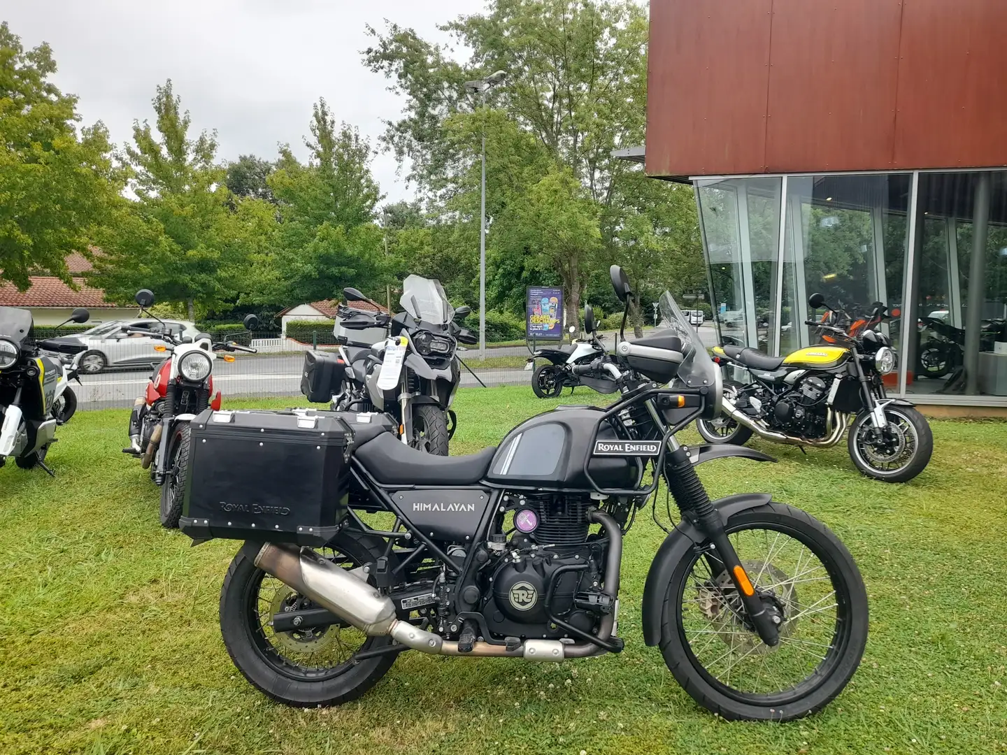 Royal Enfield Blanc - 1