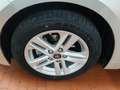 Toyota Corolla 1.8h Active cvt TUTTI TAGLIANDI TOYOTA Gris - thumbnail 10