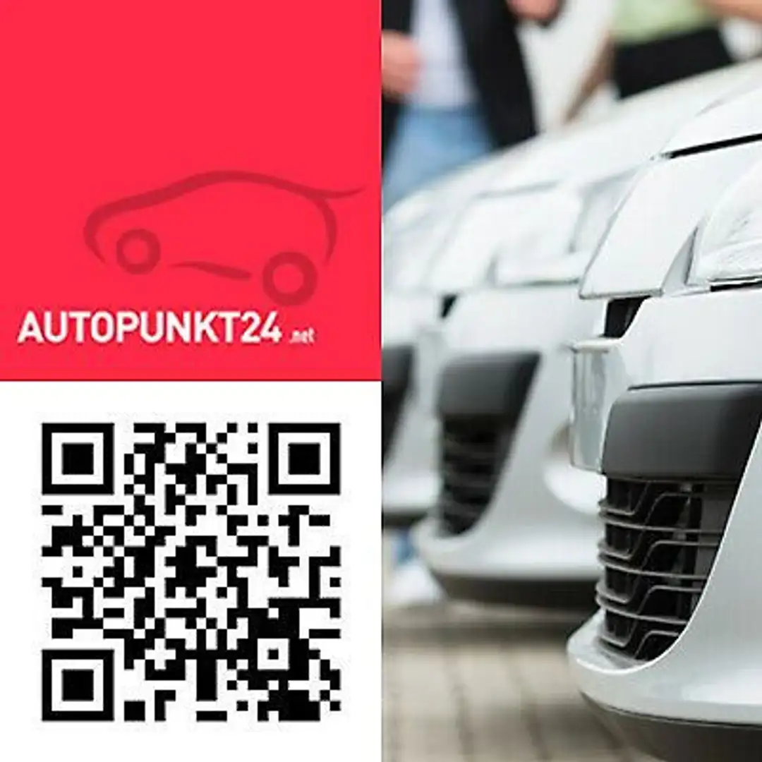 Peugeot 207 CC Cabrio JBL Klima SHZ PDC MFL Alu Grau - 1
