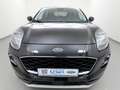 Ford Puma 1.0 EcoB Aut. Titanium X iACC+LED+Pano-Dach Schwarz - thumbnail 6