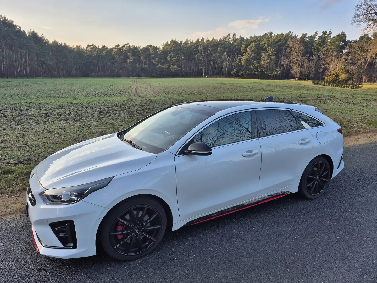 Kia ProCeed / pro_cee'd 1.6 T-GDI DCT7 OPF GT Fehér - 1