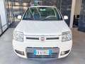 Fiat Panda 1.3 MJT 16V 4x4 Climbing Blanc - thumbnail 1