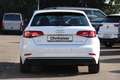 Audi A3 Sportback 1.5 TFSI sport S-Line SHZ*Xenon*1.Hd* Weiß - thumbnail 4