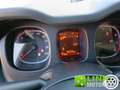 Fiat Panda 1.0 FireFly S&S Hybrid Grigio - thumbnail 5