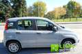 Fiat Panda 1.0 FireFly S&S Hybrid Grigio - thumbnail 12