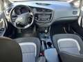 Kia Ceed / cee'd SW 1.6 crdi Cool 110cv my14 Grigio - thumbnail 12