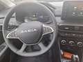 Dacia Jogger 1.6 HYBRID 140 Extreme+ (EURO 6e) Grau - thumbnail 12