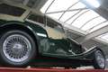 Morgan 4/4 Four-seater Original Dutch Morgan 4/4 - Newly orde Verde - thumbnail 8
