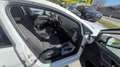 Volkswagen Golf Comfortline BMT/Start-Stopp Weiß - thumbnail 24
