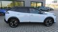 Peugeot 2008 2008 PureTech 130 S&S EAT8 GT Bianco - thumbnail 10