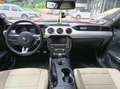 Ford Mustang 2.3L, ECOBOOST 317cv Rouge - thumbnail 20