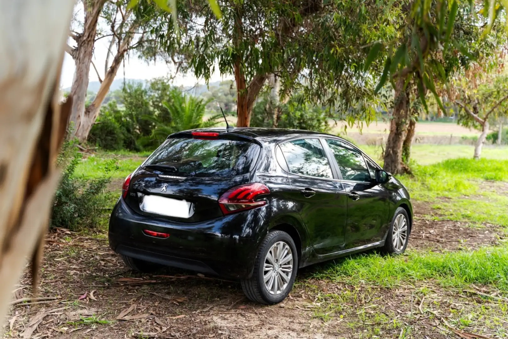 Peugeot 208 1.2 PureTech S&S Signature 82 Negro - 2