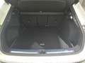 Audi Q3 1.5 TFSI S line S tronic 110kW Blanco - thumbnail 10