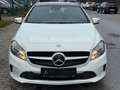 Mercedes-Benz A 220 CDI /BlueEfficiency/AUTOM/NAVI/PANO/LEDER/ Blanc - thumbnail 8