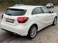 Mercedes-Benz A 220 CDI /BlueEfficiency/AUTOM/NAVI/PANO/LEDER/ Blanc - thumbnail 5
