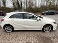 Mercedes-Benz A 220 CDI /BlueEfficiency/AUTOM/NAVI/PANO/LEDER/ Blanc - thumbnail 6