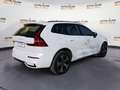 Volvo XC60 XC60 T6 Recharge Plug-in Hybrid AWD automatico Pl Blanco - thumbnail 6