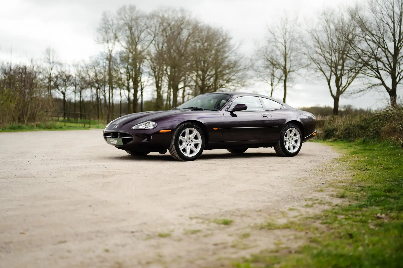 Jaguar XK8 4.0 V8 Coupé | Airco (automatisch) | Gelaagde voor Violett - 2