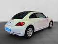 Volkswagen Beetle 1.2 TSI DESIGN KAMERA BI-XENON Bianco - thumbnail 3