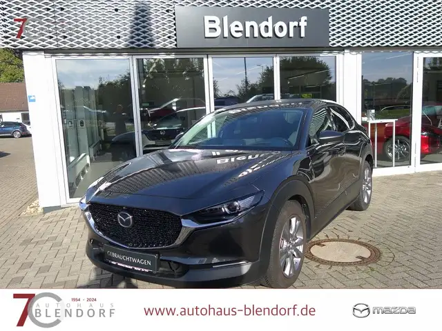 Mazda CX-30 Selection 150 Automatik 360°|AHK|Matrix LED|Bose
