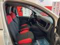 Fiat Panda 1.2 Van  2 posti Euro 6D-Temp 69cv Bianco - thumbnail 11