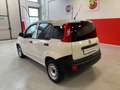 Fiat Panda 1.2 Van  2 posti Euro 6D-Temp 69cv Bianco - thumbnail 3